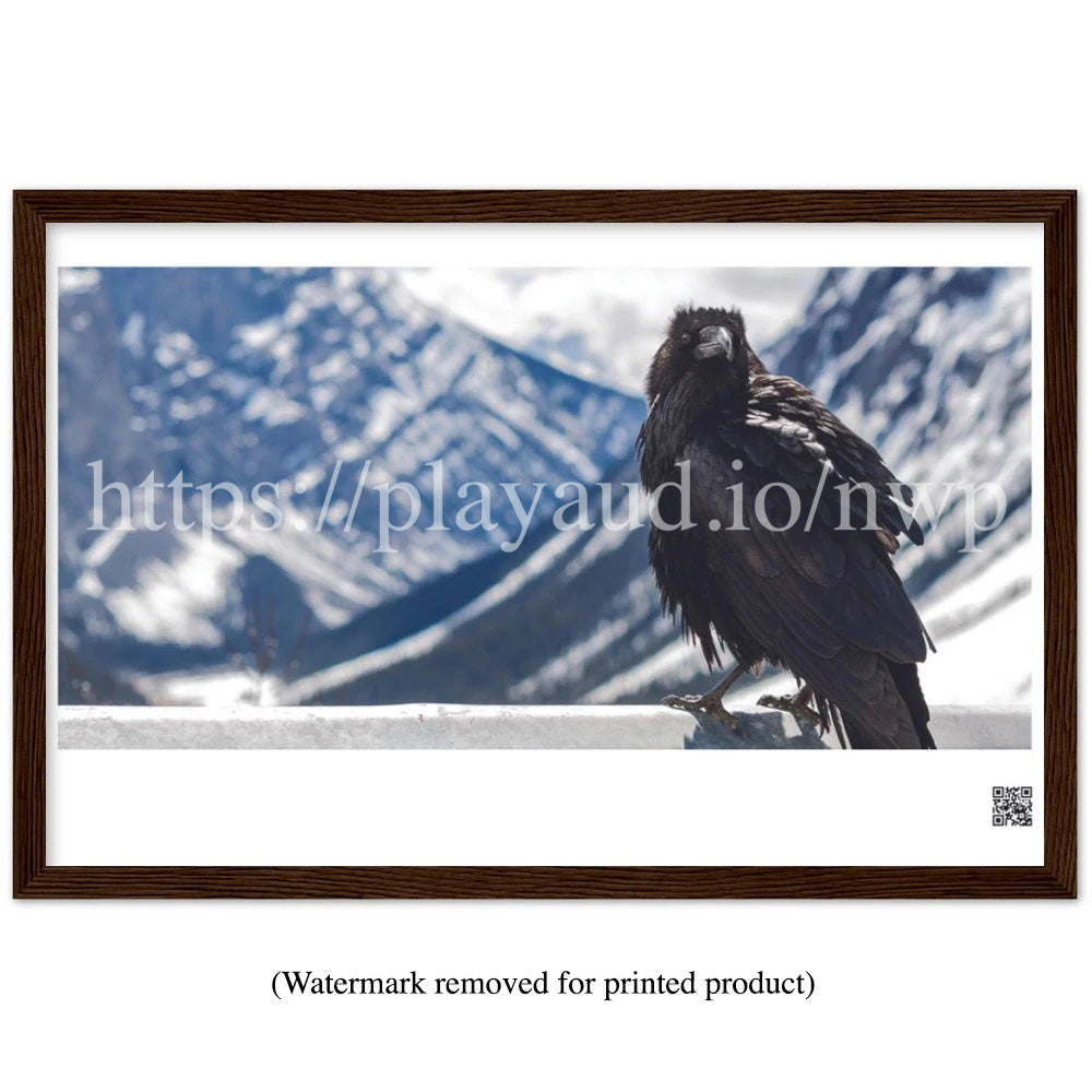 Crow and Rocky Mountains - Northwest Passage 2021 Series - 18"x12" Premium Matte Paper Wooden Framed Poster