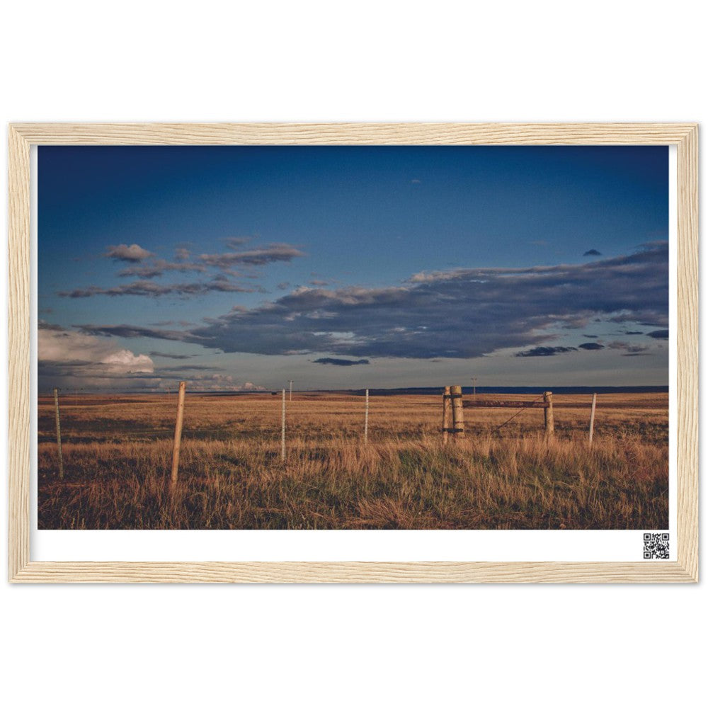 Alberta Field at Golden Hour - Northwest Passage 2021 Series - 18"x12" Premium Matte Paper Wooden Framed Poster